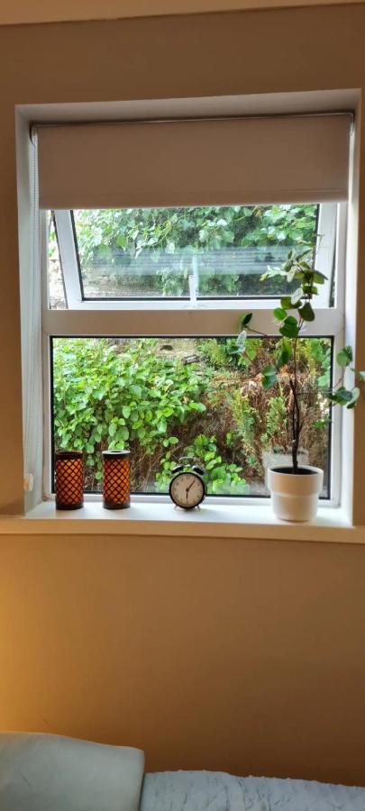 Blima Central Rooms Dublin Zewnętrze zdjęcie